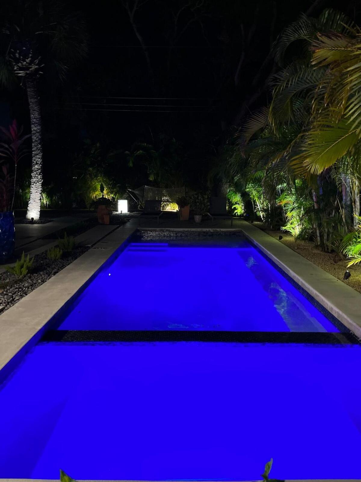 Hiddengem In Charming Sarasota, Florida Villa Bagian luar foto